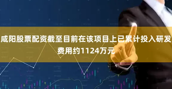咸阳股票配资截至目前在该项目上已累计投入研发费用约1124万元